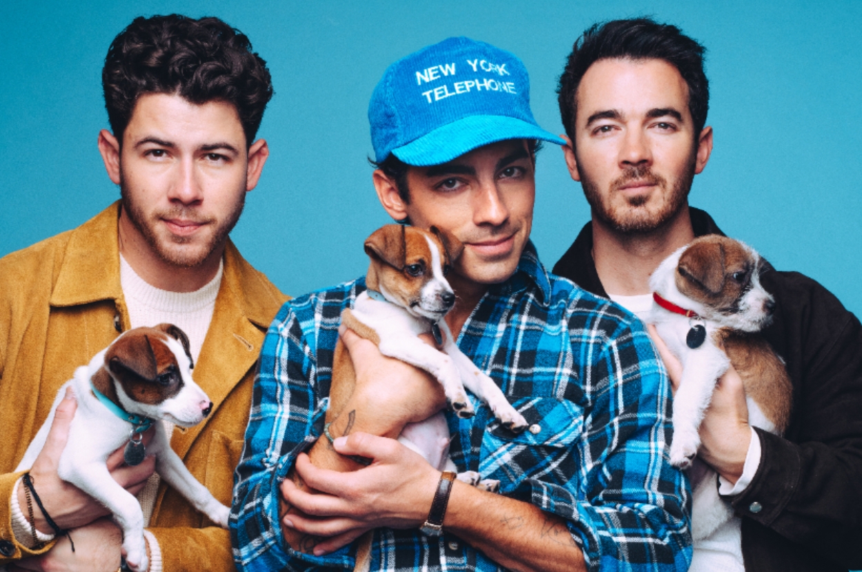 Three men holding puppies, dressed casually in flannel and jackets