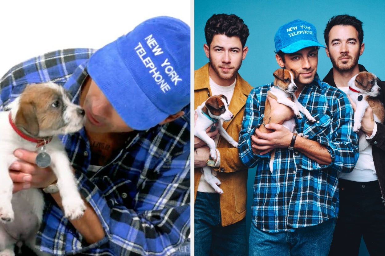 The Jonas Brothers Just Did Our Puppy Interview — Here's Everything They Revealed