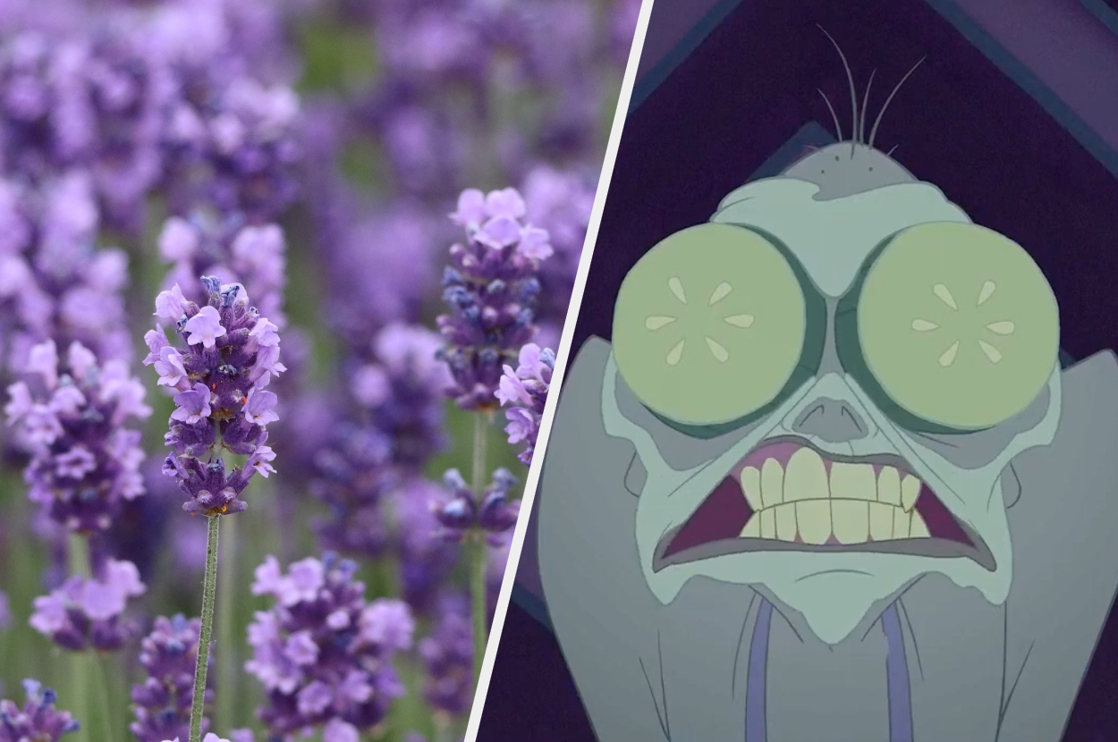Lavender flowers on left; animated Yzma from "Emperor's New Groove" with large cucumbers on her eyes and a stern smile on the right