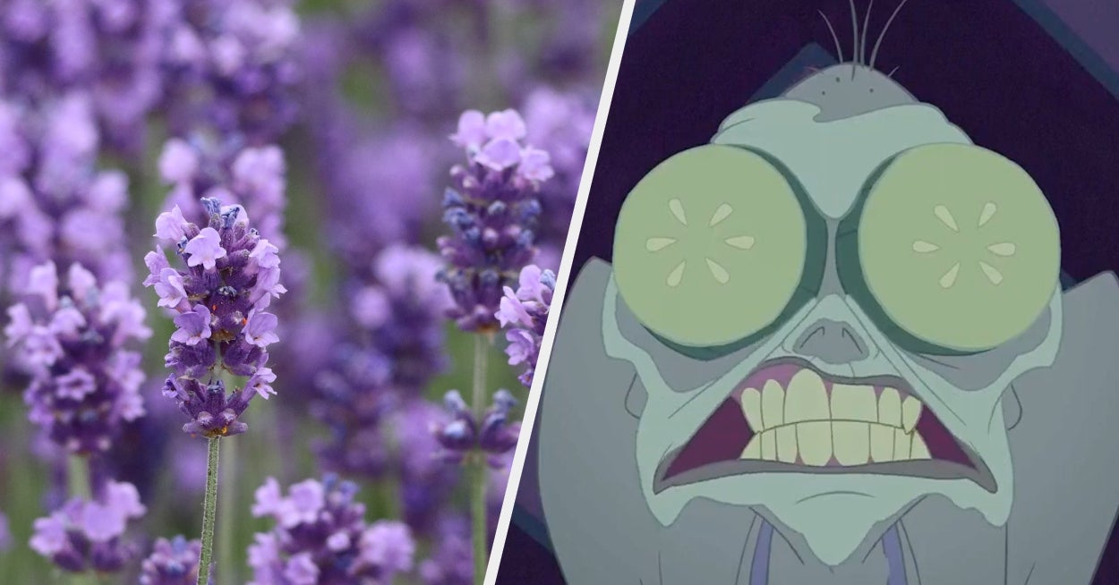 Click Through The Rainbow And I'll Give You A 5-Minute Self-Care Activity