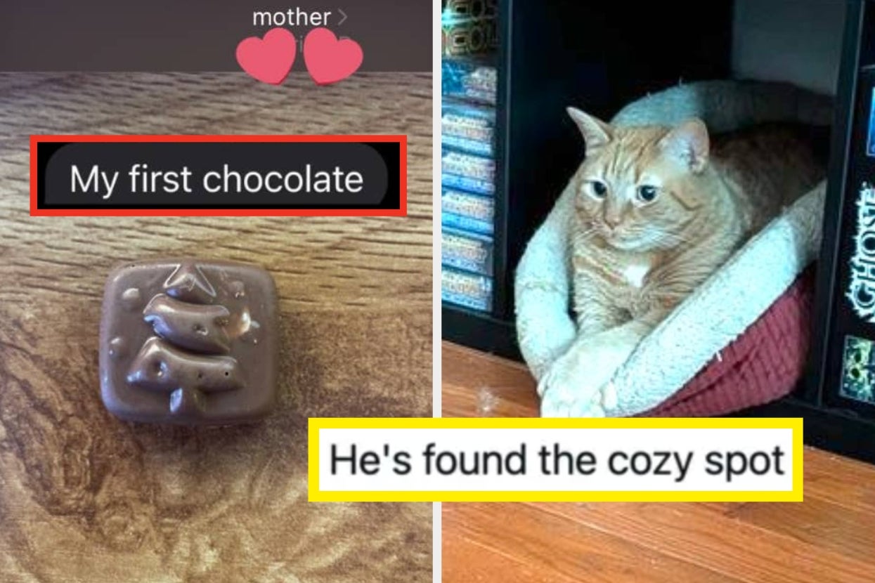 19 Of The Best Wholesome Posts From The Internet This Week