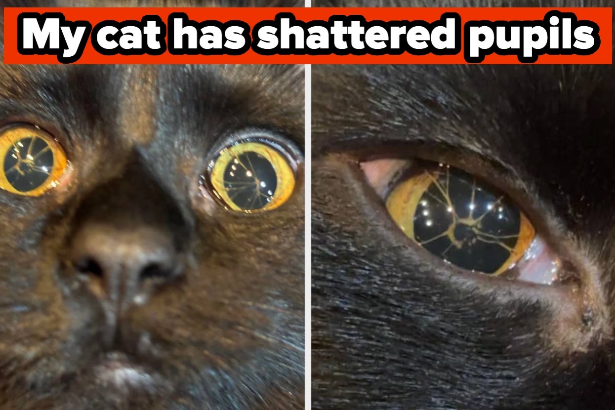 19 Cursed Things That Will Haunt Your Nightmares, And Make Your Skin Crawl