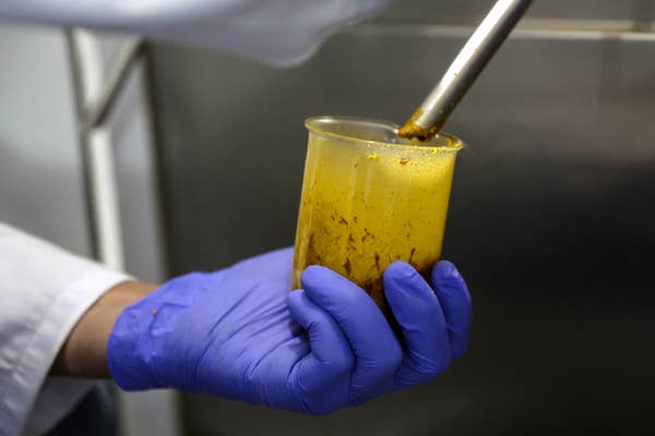 手袋をはめた人が、濃い茶色の混合物が入ったビーカーの中でスティックブレンダーを使用しています。食品または科学的な作業に関連している可能性があります。