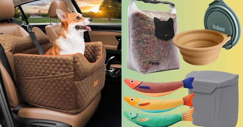 Road Tripping With Your Pet? These Travel Essentials Make It Easy