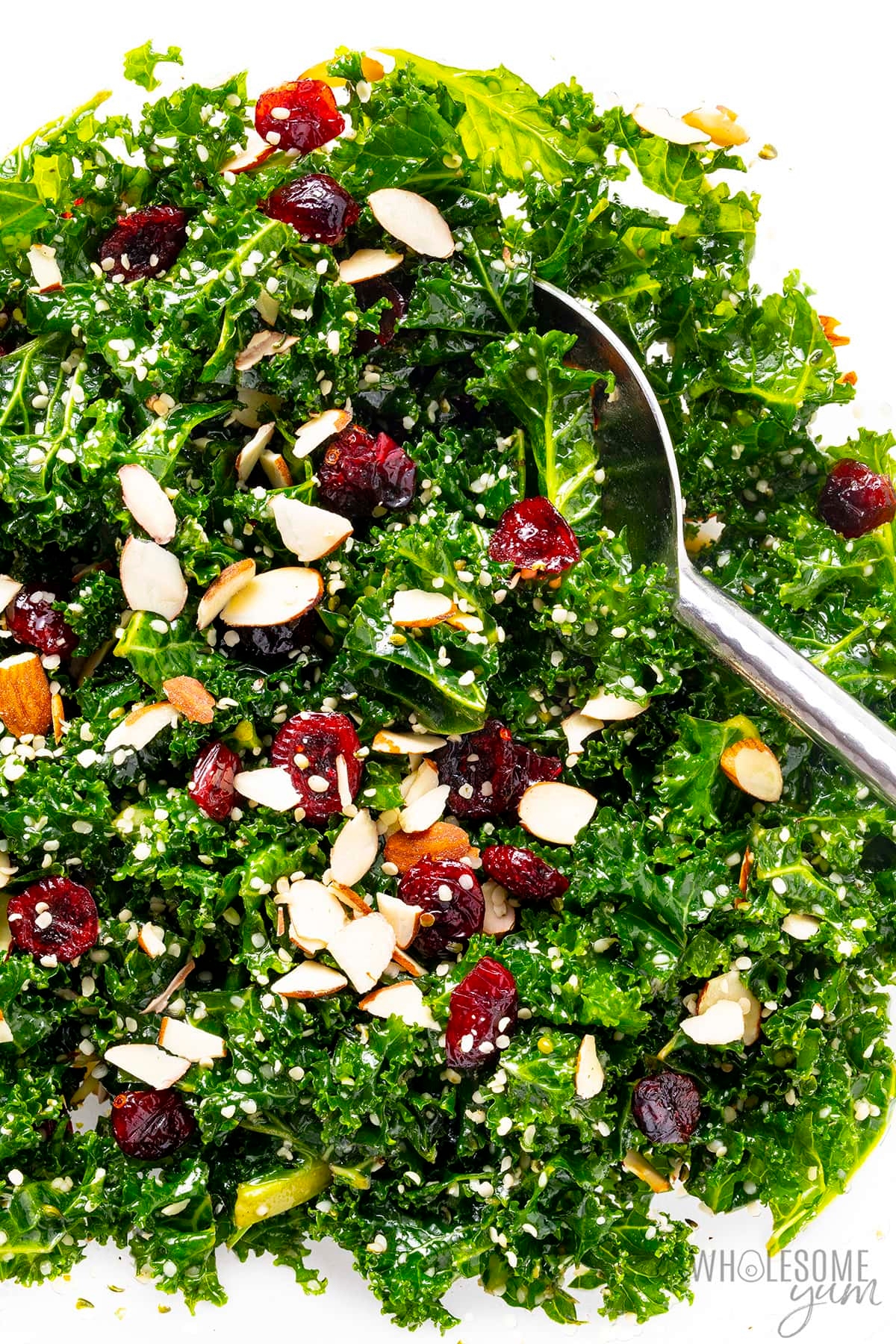 Kale salad with almonds, cranberries, and a sprinkle of cheese, topped with a serving spoon