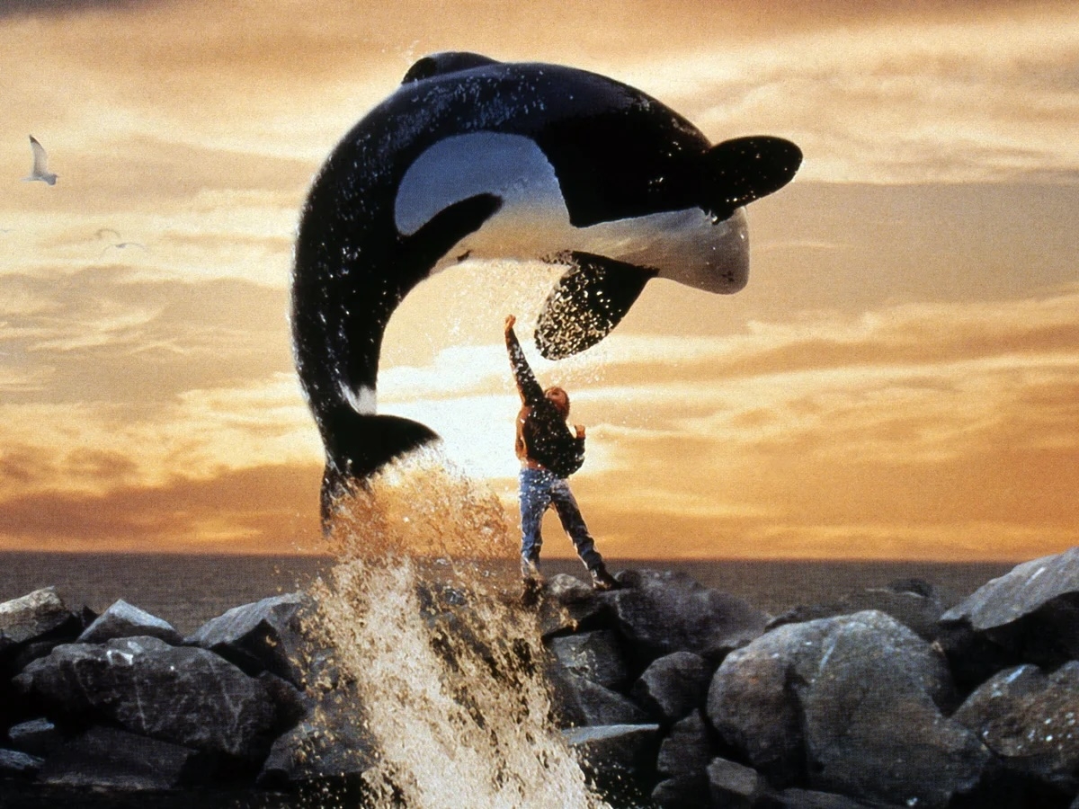 A idiosyncratic   reaches up   arsenic  an orca jumps implicit    them by a rocky shoreline astatine  sunset, reminiscent of a celebrated  movie   scene