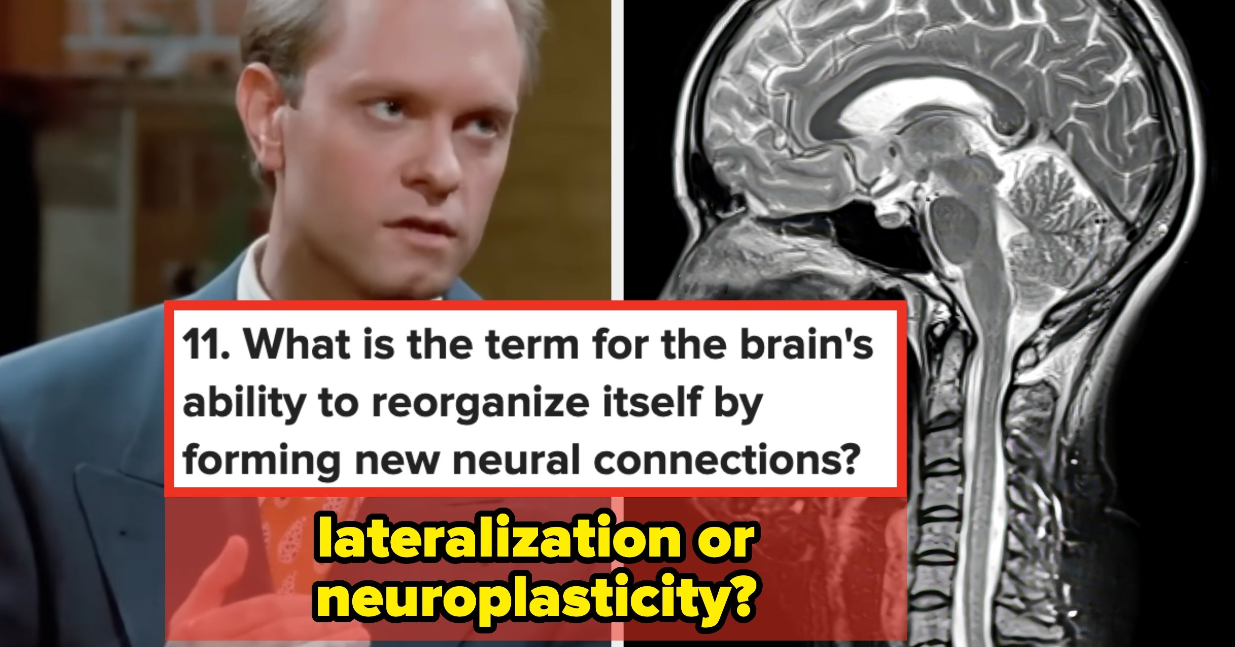 How Much Do You Know About Psychology?