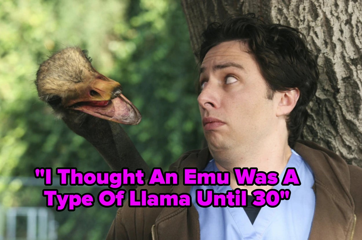 "I Thought An Emu Was A Type Of Llama Until 30" – 15 Bits Of 'Common Knowledge' People Learned Shockingly Late