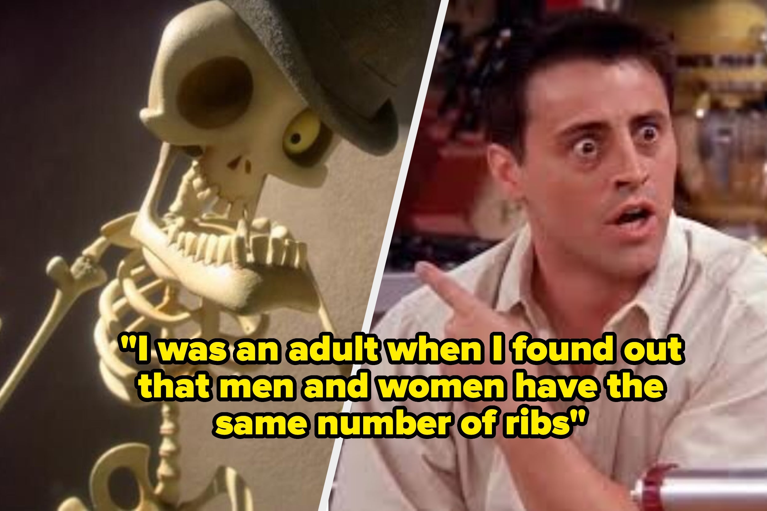 "I Thought An Emu Was A Type Of Llama Until 30" – 15 Bits Of 'Common Knowledge' People Learned Shockingly Late