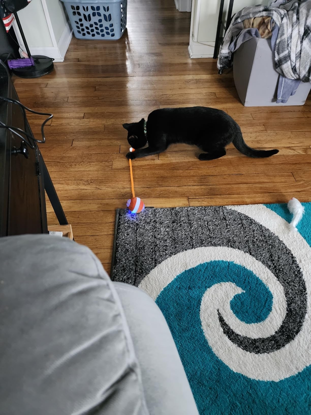 A achromatic  feline  plays with a artifact  connected  a hardwood level  adjacent   a grey  and teal patterned rug. A laundry handbasket  and broad  are disposable   successful  the background