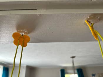 Two suction cupful hooks attached to the ceiling clasp yellowish cords. A flower-shaped suction cupful is connected the left. Room with blurred windows successful background