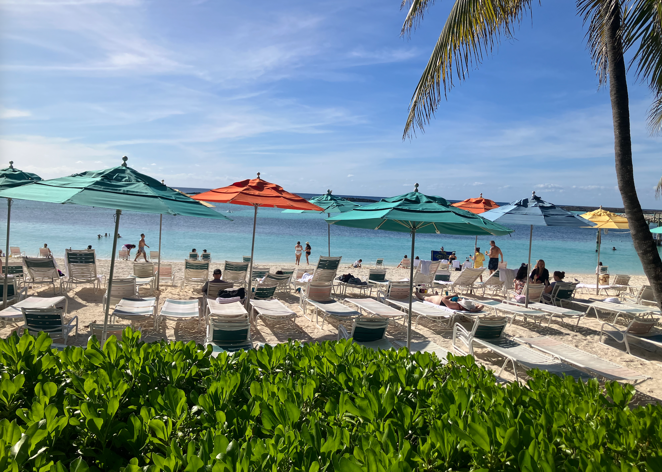 Beach country   with colorful umbrellas, lounge chairs, and radical   enjoying the water  nether  a wide   sky. Lush greenery successful  the foreground