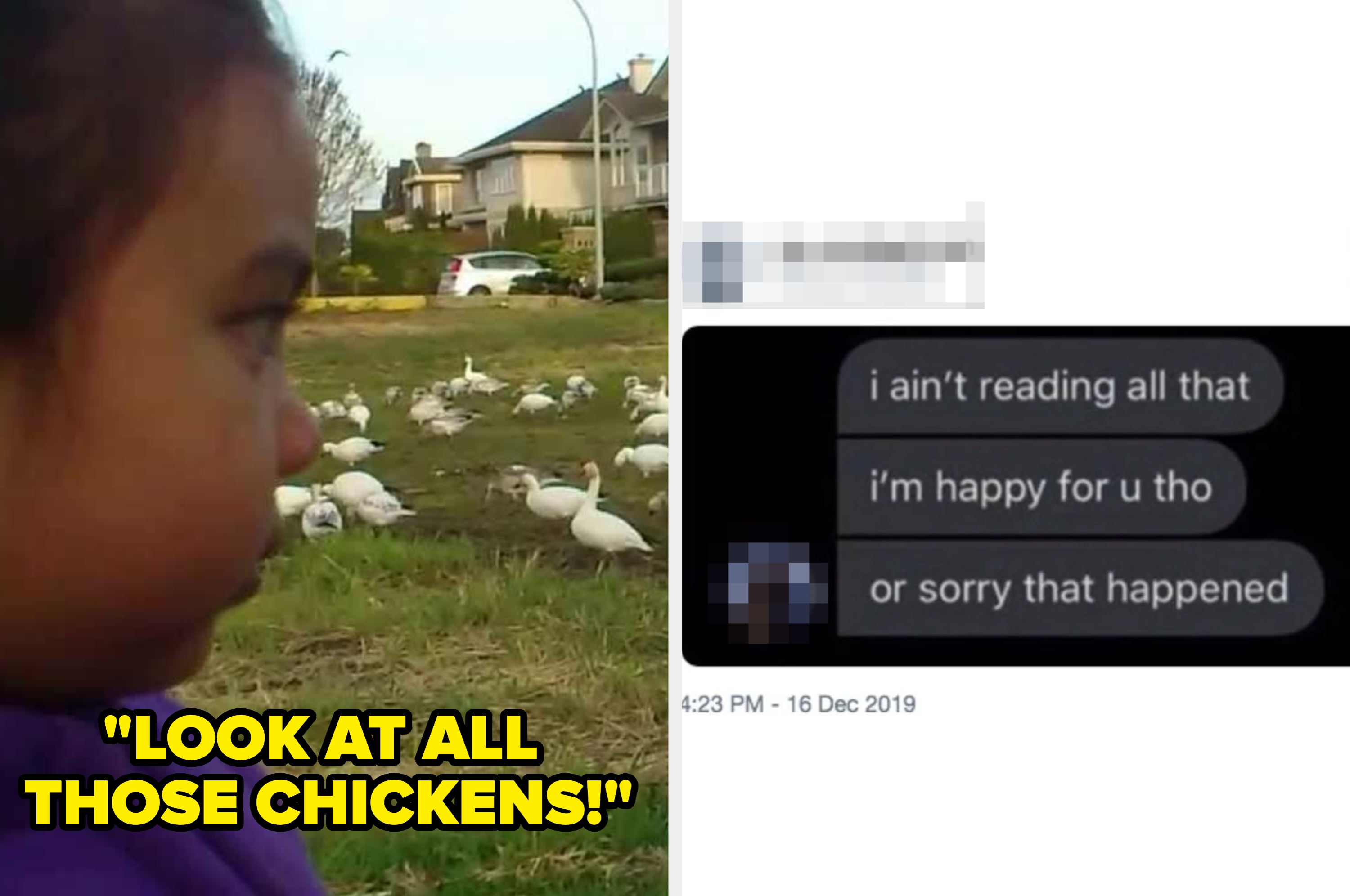 A child stares at birds in a field. Next to it, a meme shows a message, "i ain't reading all that. i'm happy for u tho or sorry that happened."