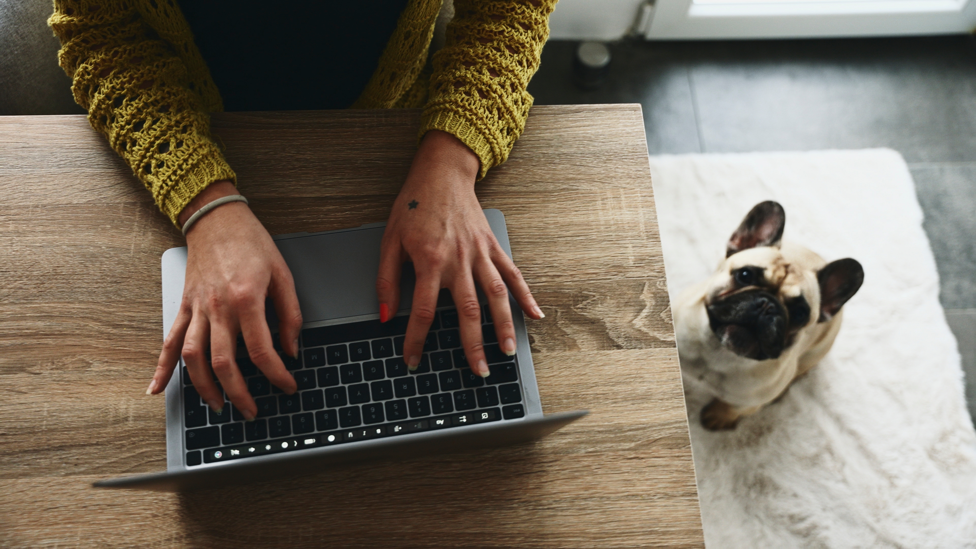 Person typing connected  a laptop astatine  a woody  array  with a tiny  canine  sitting connected  a rug beside them, looking up