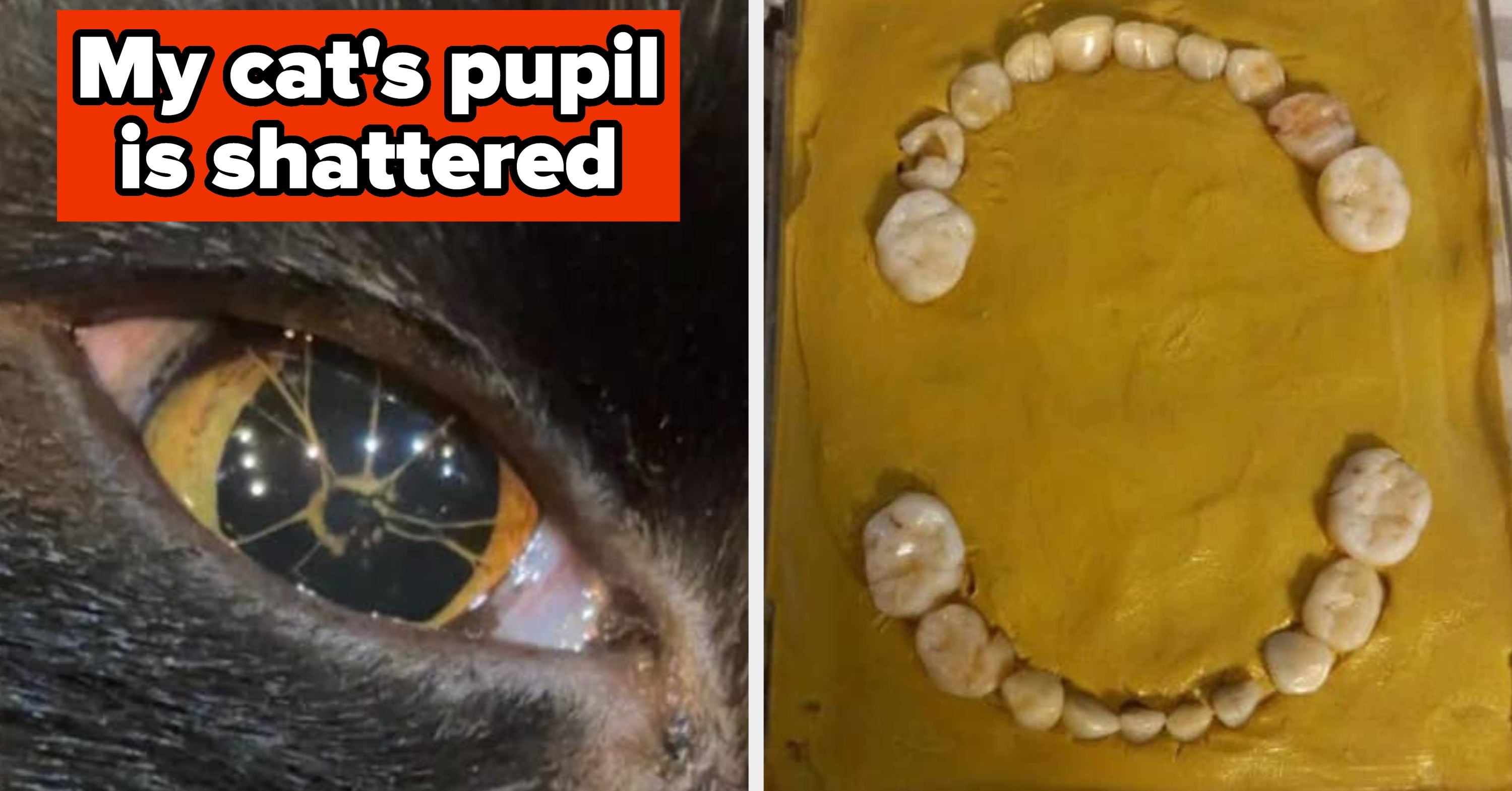 19 Deeply Disturbing Things That Will Make Your Brain Beg For The Emergency Exit