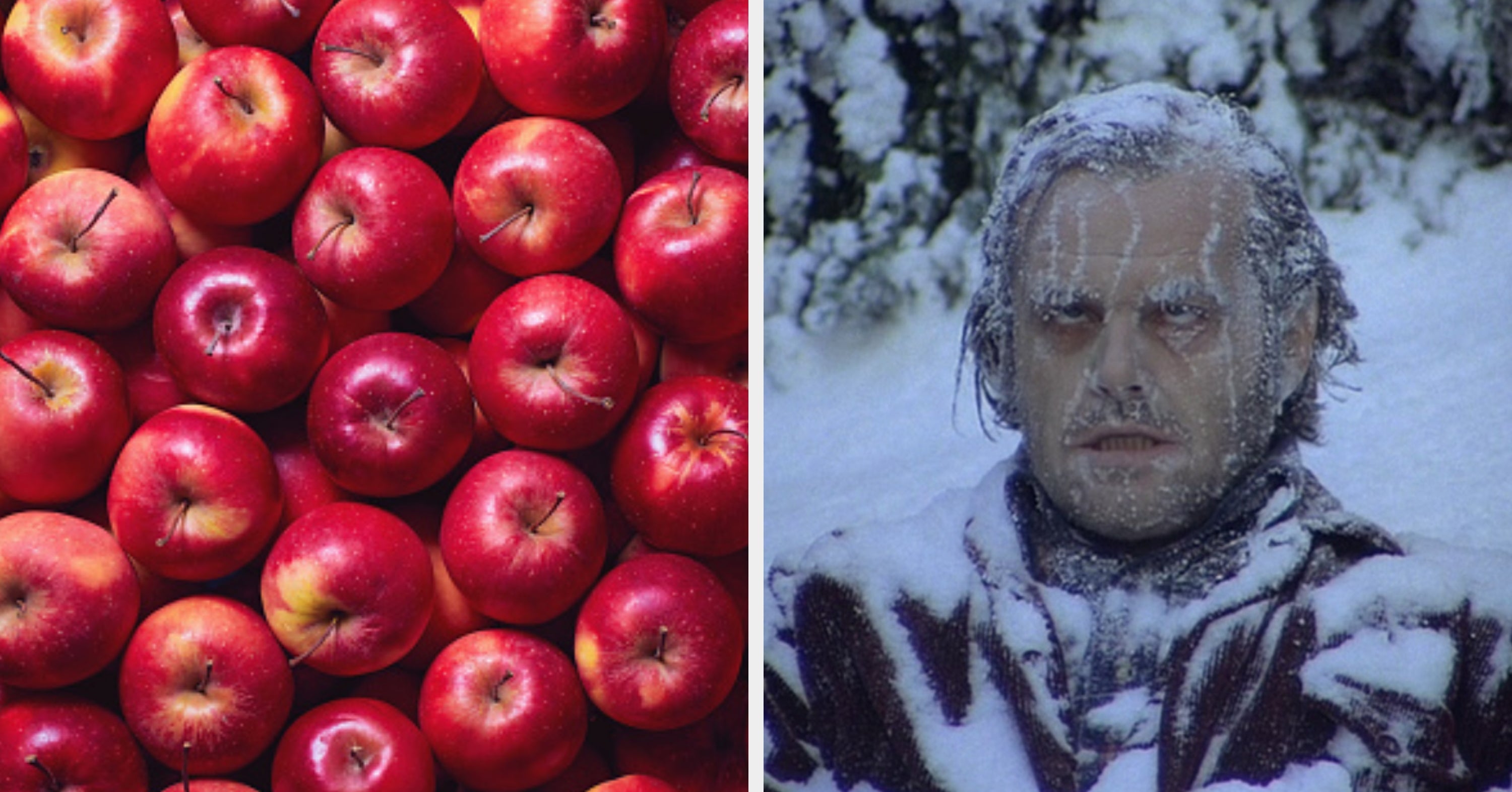 Eat Some Fruit And I’ll Try To Guess Your Favorite Season