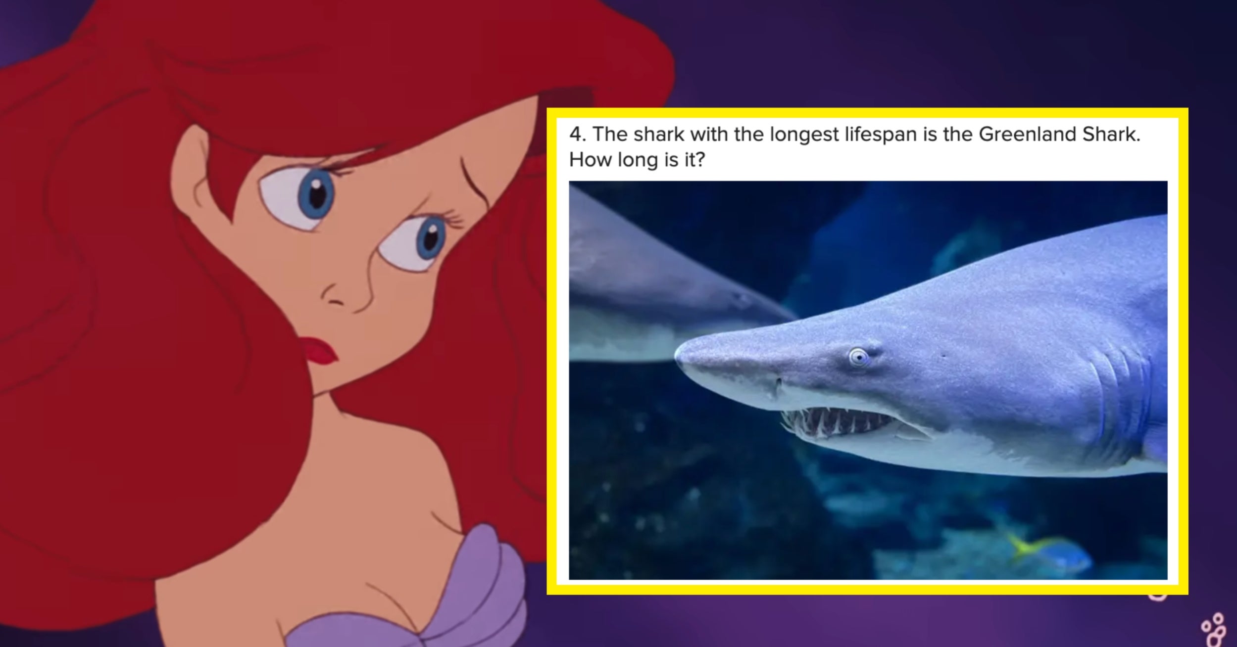 I'll Be Shocked If Anyone Besides Marine Biologists Can Score 11/13 On This Shark Trivia Quiz