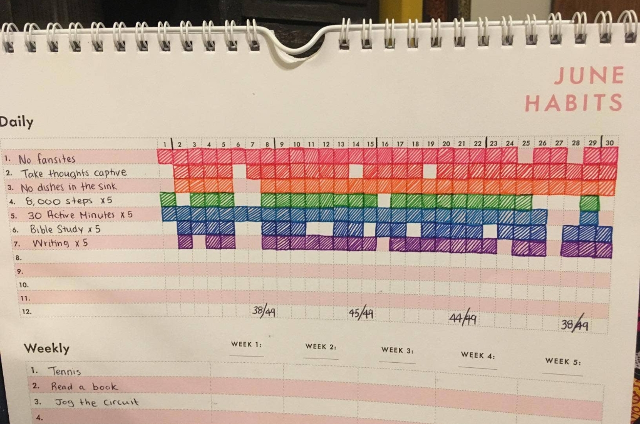Calendar showing daily habit tracking with colorful blocks filled for completed tasks in June, such as exercise, writing, and no dishes in the sink