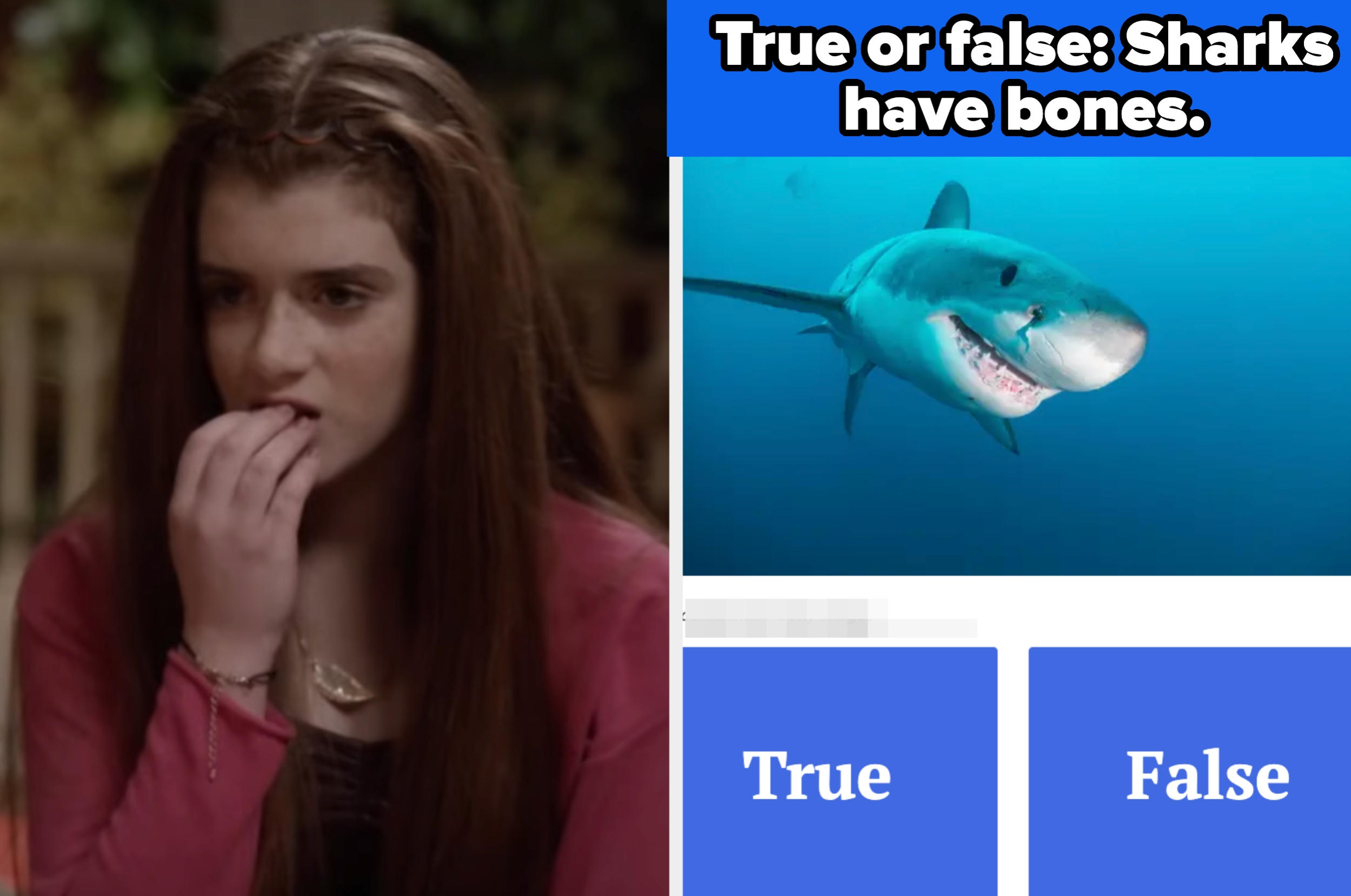 Person appears anxious. Quiz asks if sharks have bones, with options "True" or "False." Image of a shark displayed