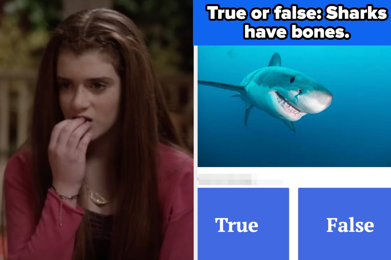 I'll Be Shocked If Anyone Besides Marine Biologists Can Score 11/13 On This Shark Trivia Quiz