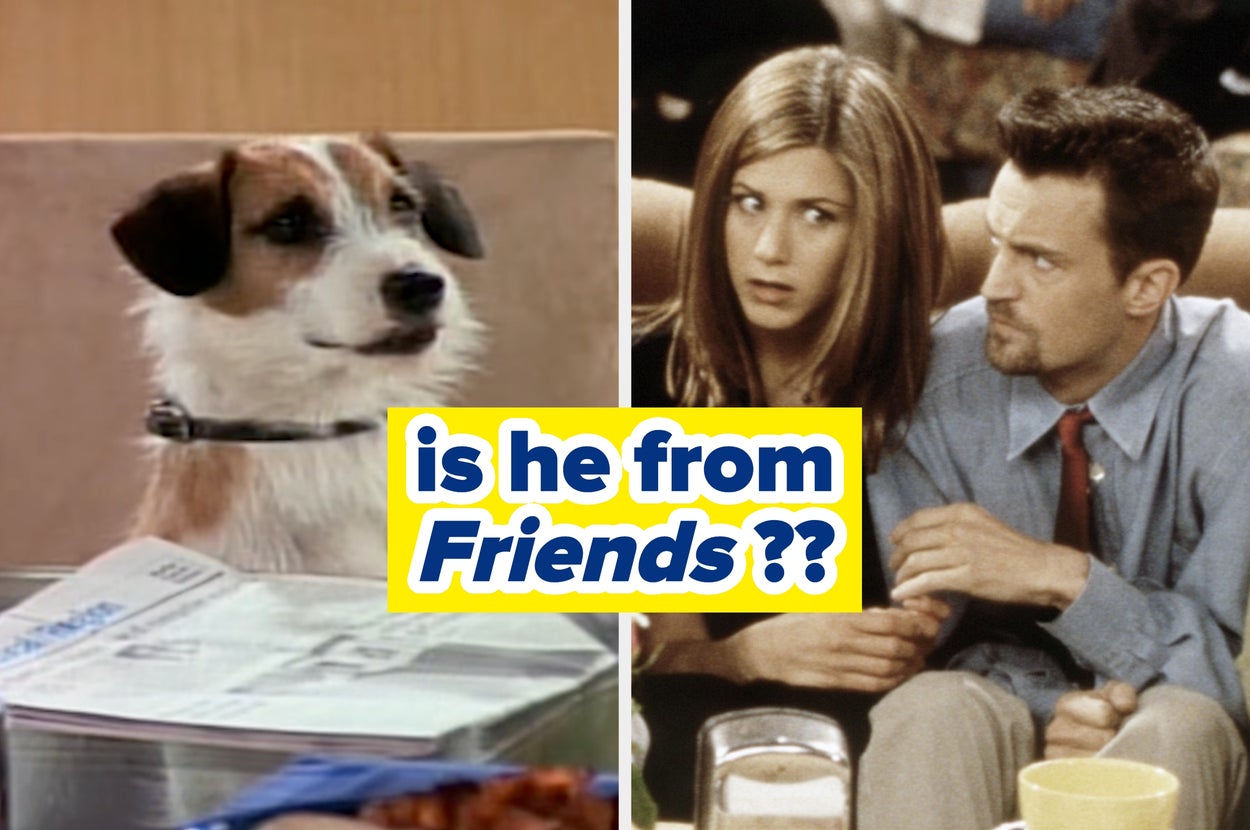 If You Can Name These Classic Shows Based On Their Dogs, You Watched Way Too Much TV Growing Up