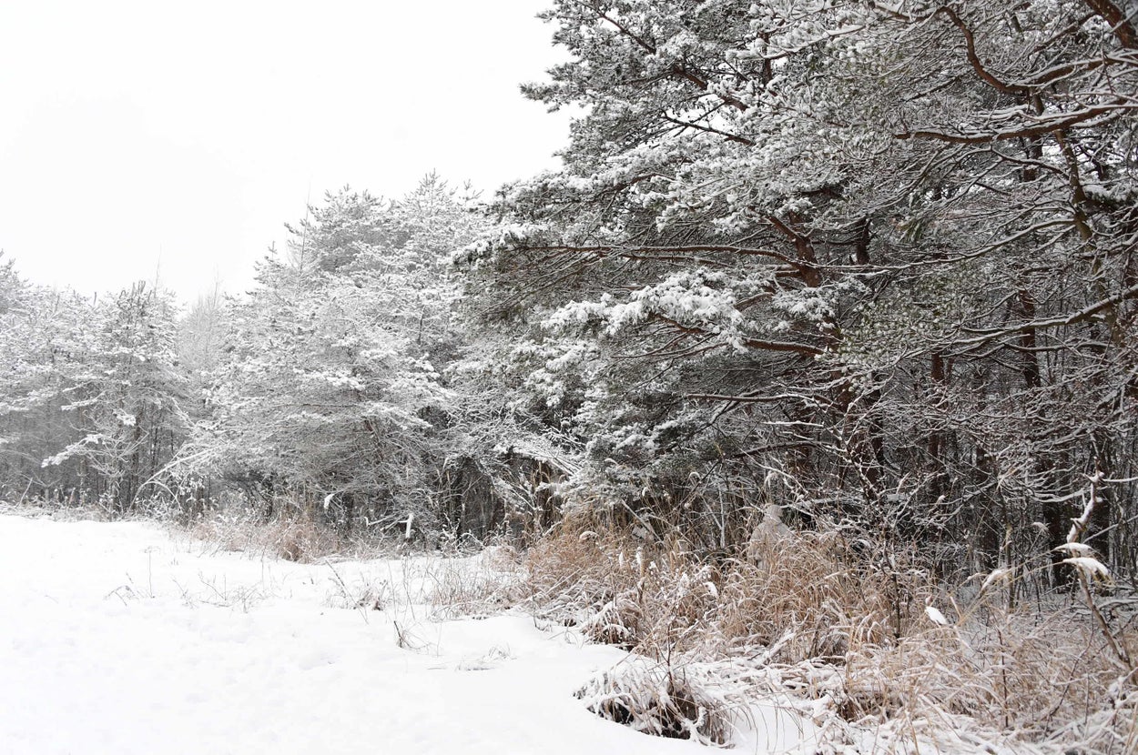 1月27日投稿の自衛官が隠れている写真（陸上自衛隊秋田駐屯地の公式Xより）
