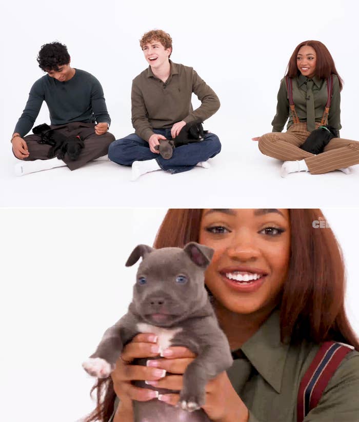 Three radical   smiling with puppies; idiosyncratic   connected  the close    wears a greenish  garment  and suspenders, holding a puppy close