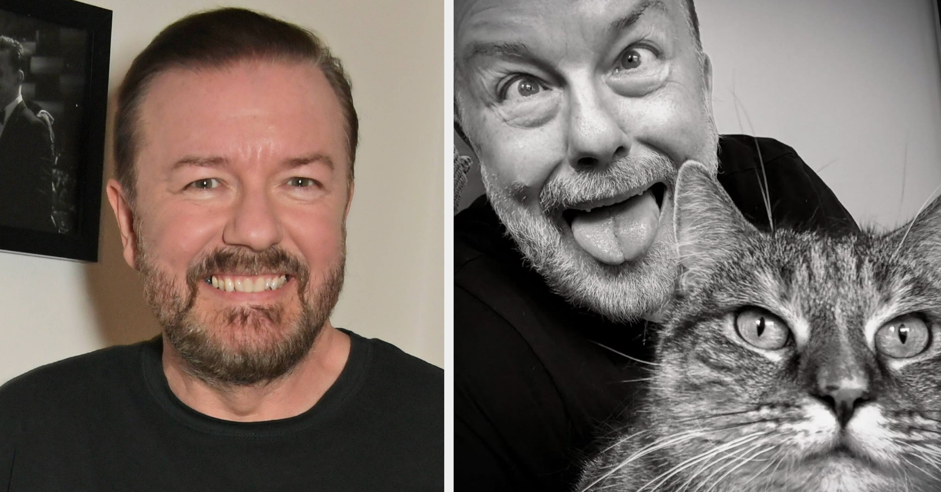 People Are Genuinely Impressed After Ricky Gervais Casually Revealed The Eye-Watering Amount Of Money He’s Donating To Animal Charities This Month