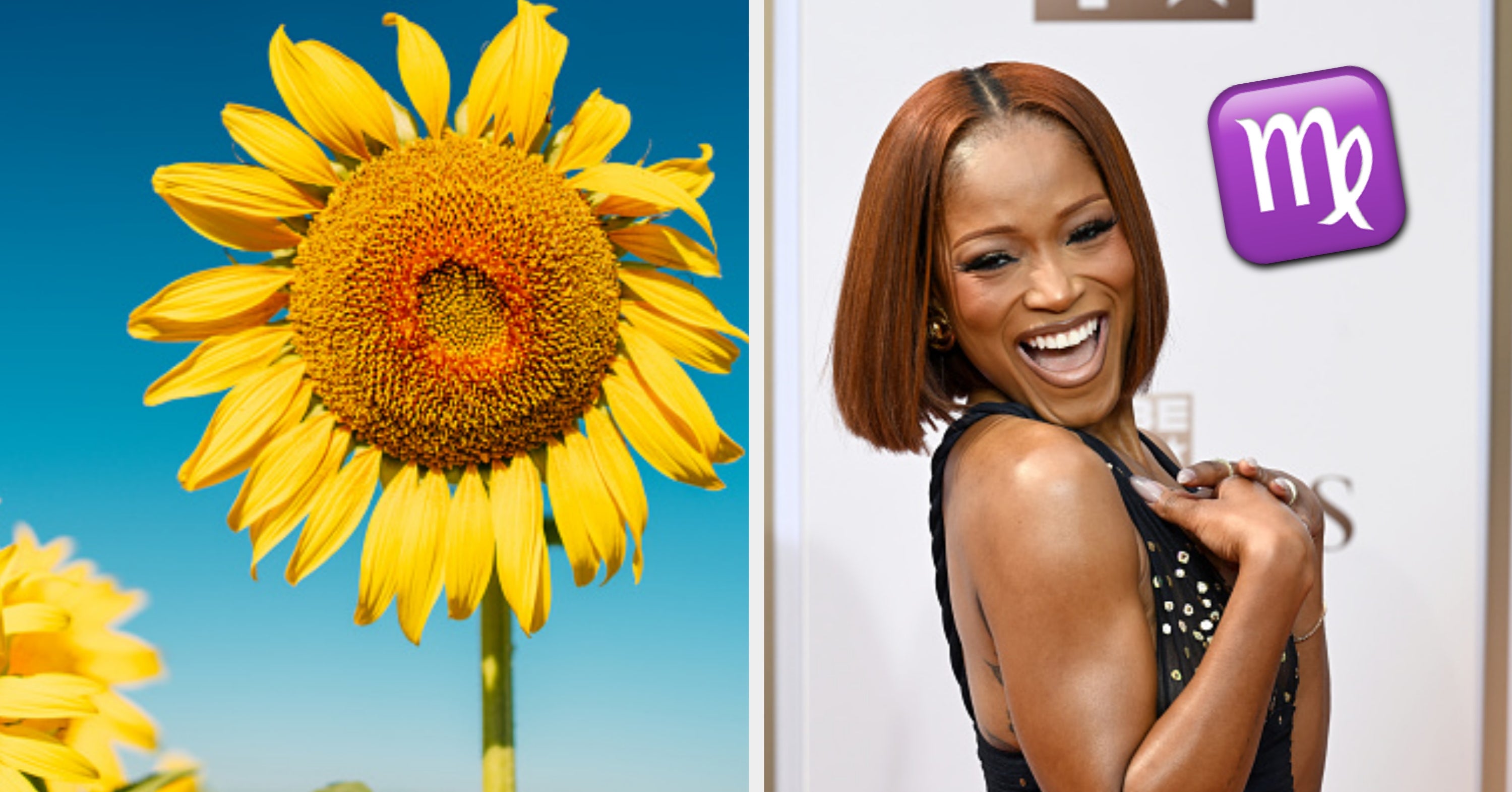 I'm 99% Confident I Can Guess Your Star Sign Based On The Random Flowers You Choose