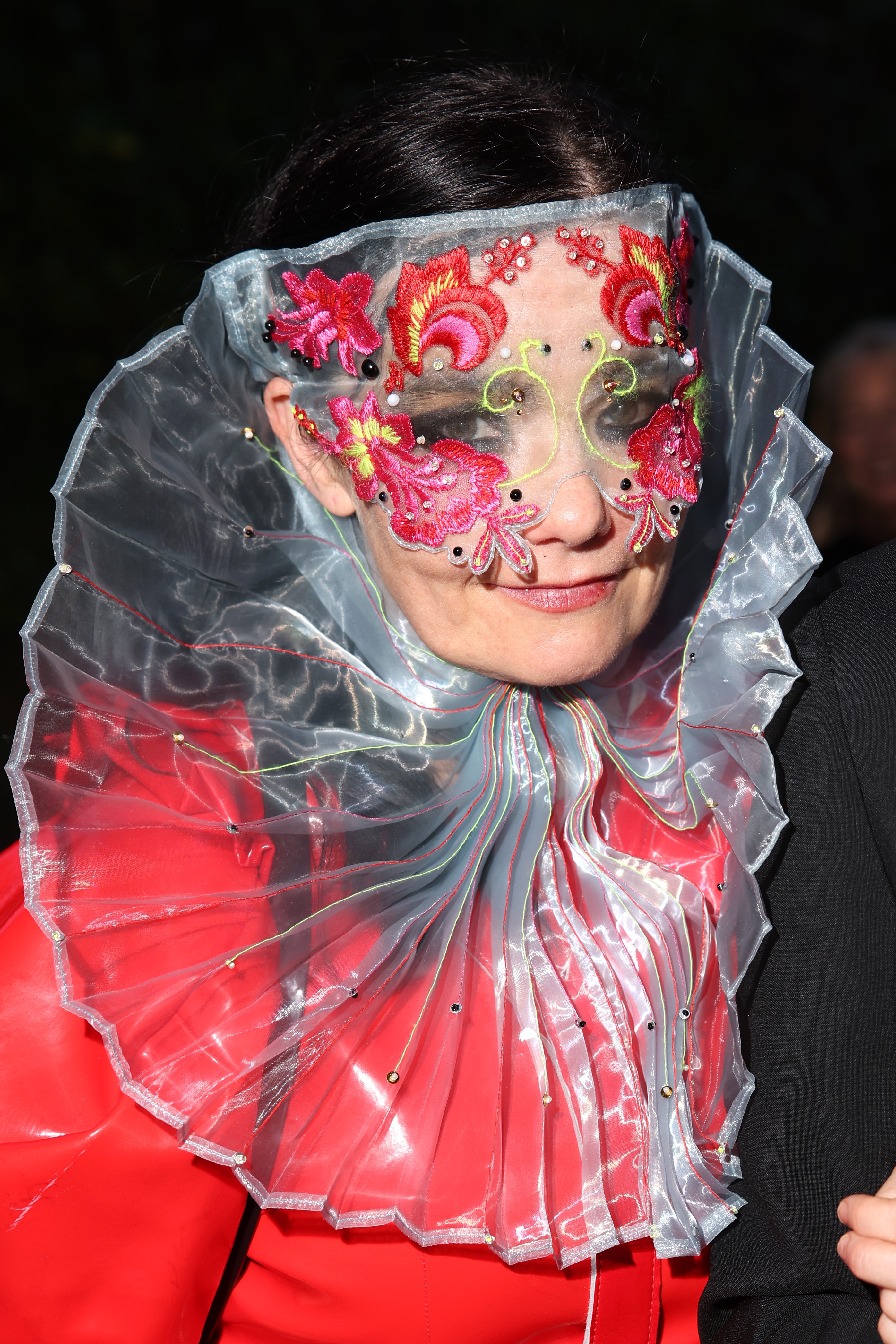 Person wearing ornate, translucent ruffled collar and floral mask, creating a dramatic, futuristic manner  statement