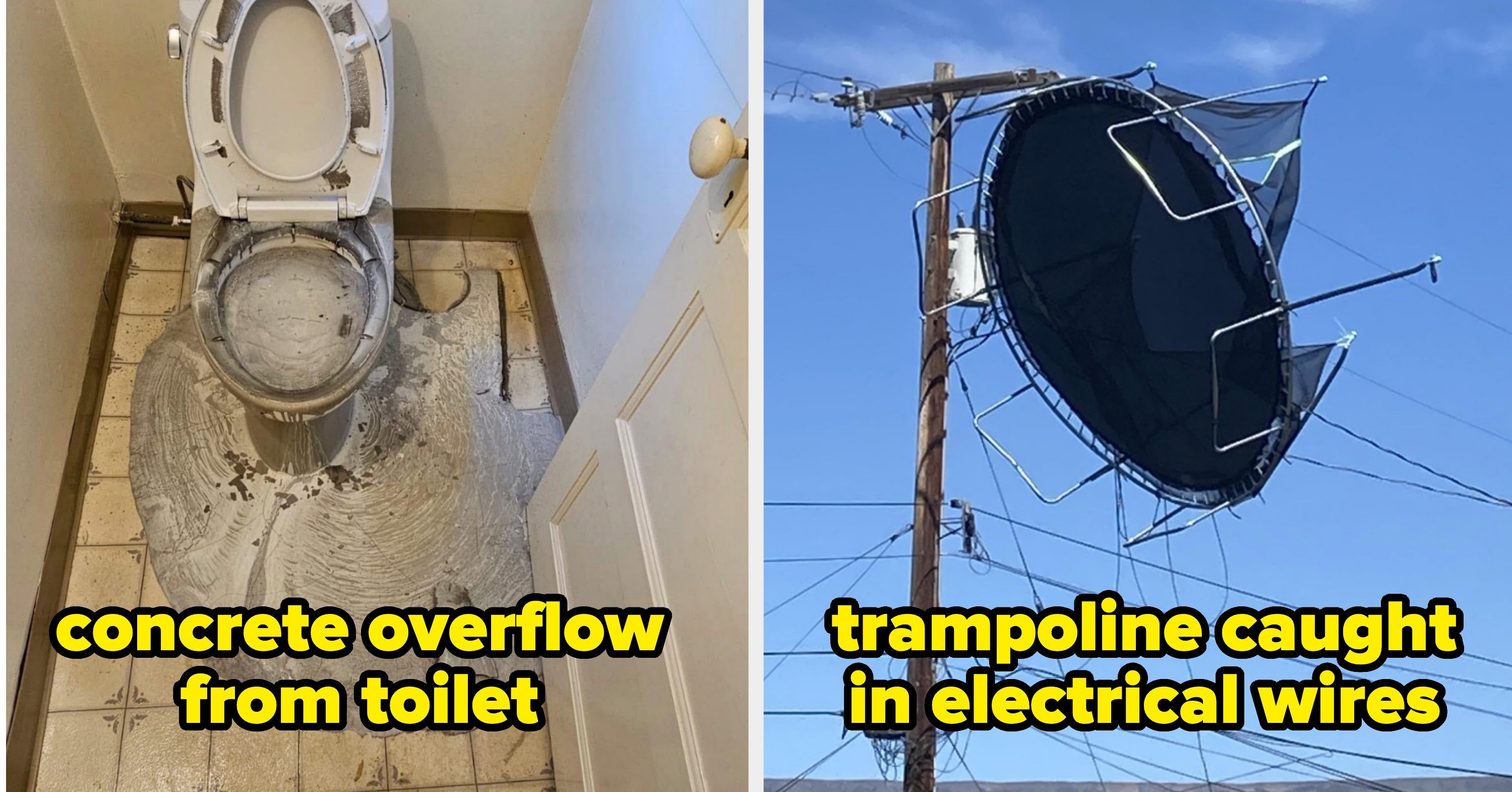 Here Are 58 Poor, Unfortunate Souls Who Barely Made It Out Of 2025 Unscathed