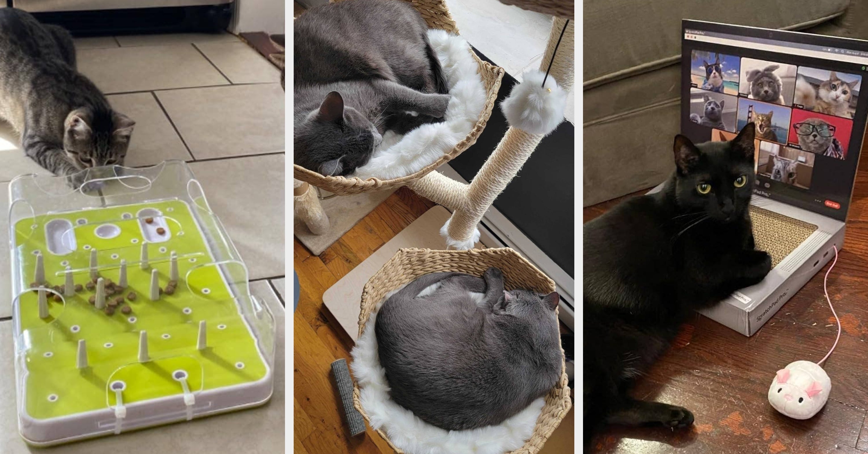 27 Clever Cat Toys For Felines Who Think They’re ~Above~ Catnip Mice