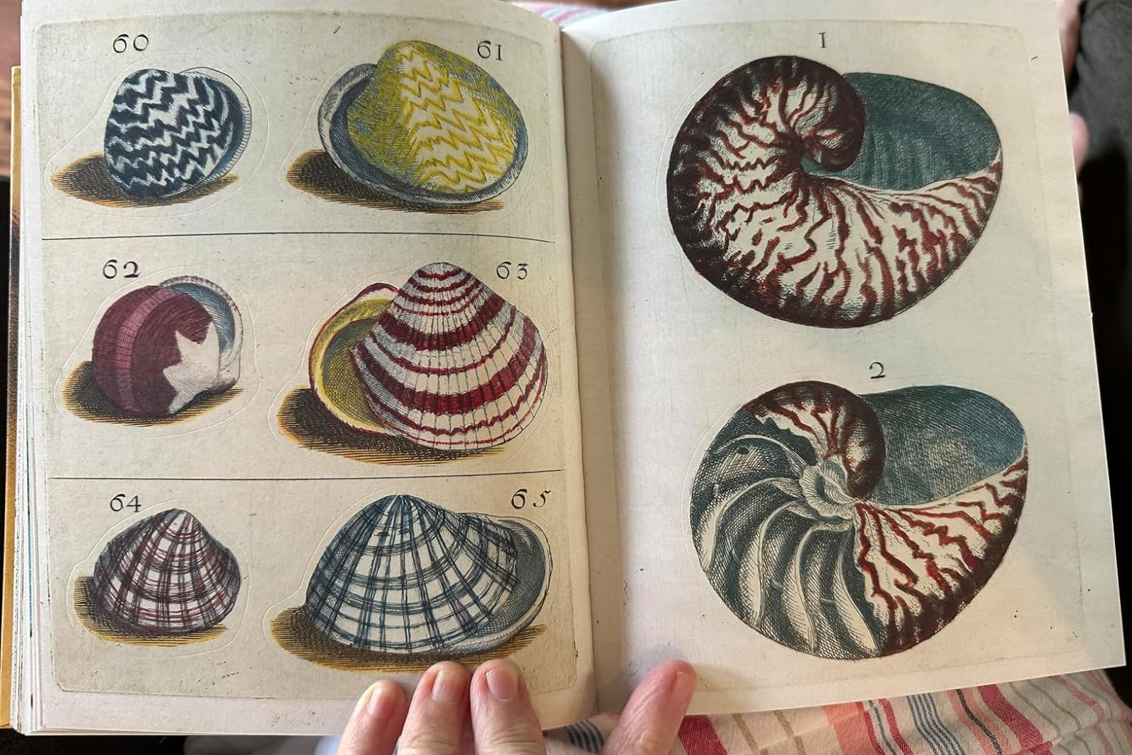 44 Hidden Gem Gifts From Amazon That They've Probably Never Heard Of