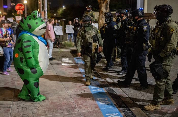 A idiosyncratic   successful  a frog costume stands facing constabulary  officers successful  tactical cogwheel  during a nighttime protest. Signs are disposable   successful  the background