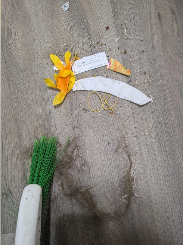 Broom sweeping up debris including a flower, paper, rubber band, and hairsbreadth clump connected a woody floor