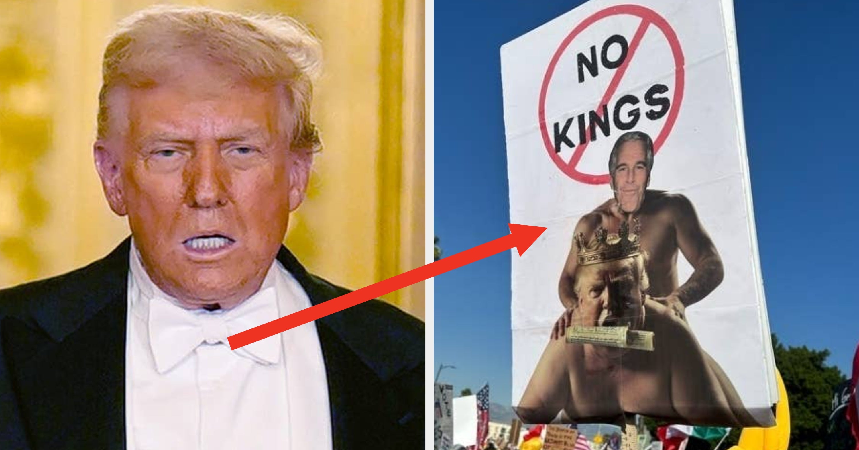 65 Of The Most Ruthless Anti-Trump Signs I Could Find From All Of 2025