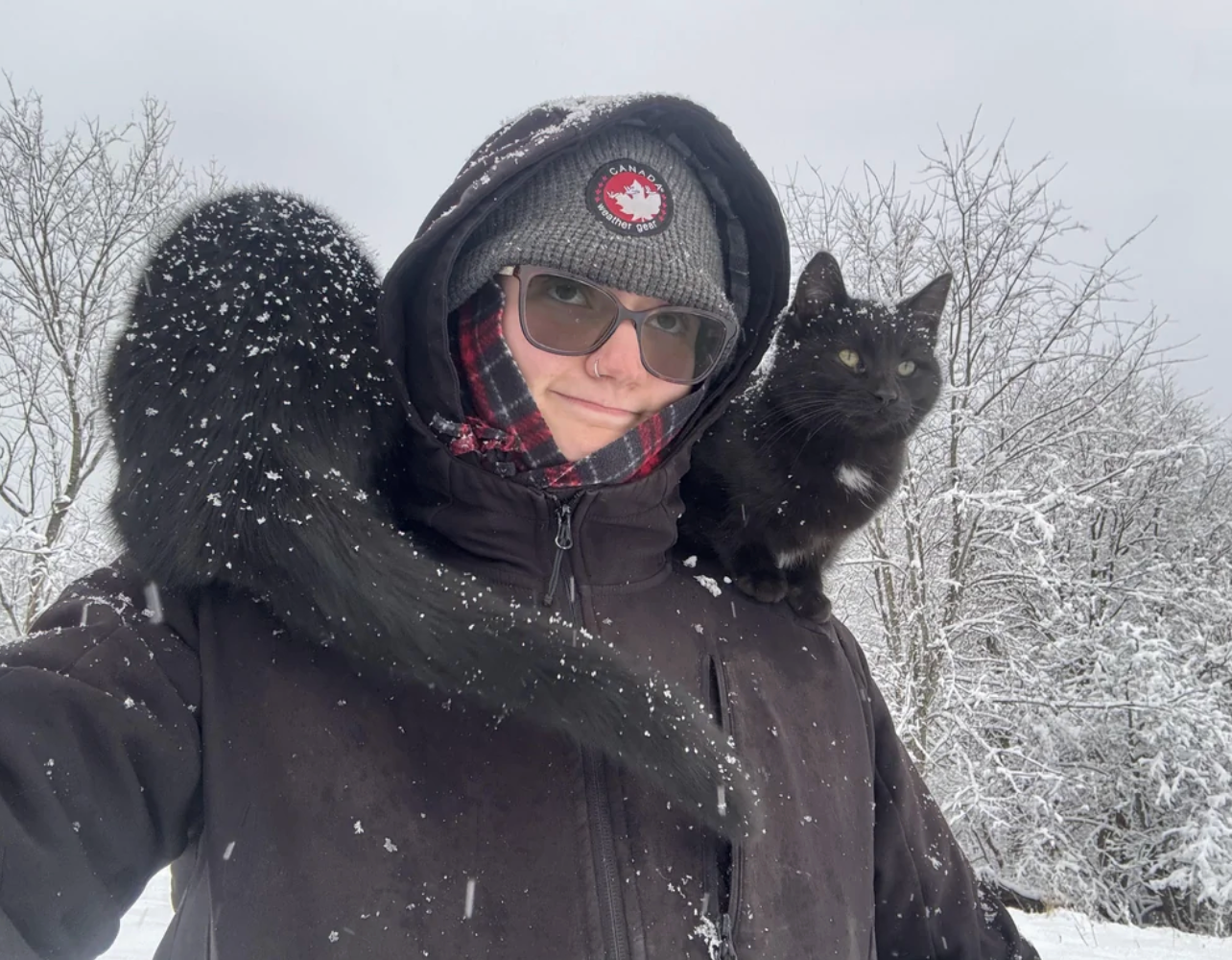 Person successful  a wintertime  overgarment  and beanie with a achromatic  feline  perched connected  their enarthrosis  successful  a snowy landscape