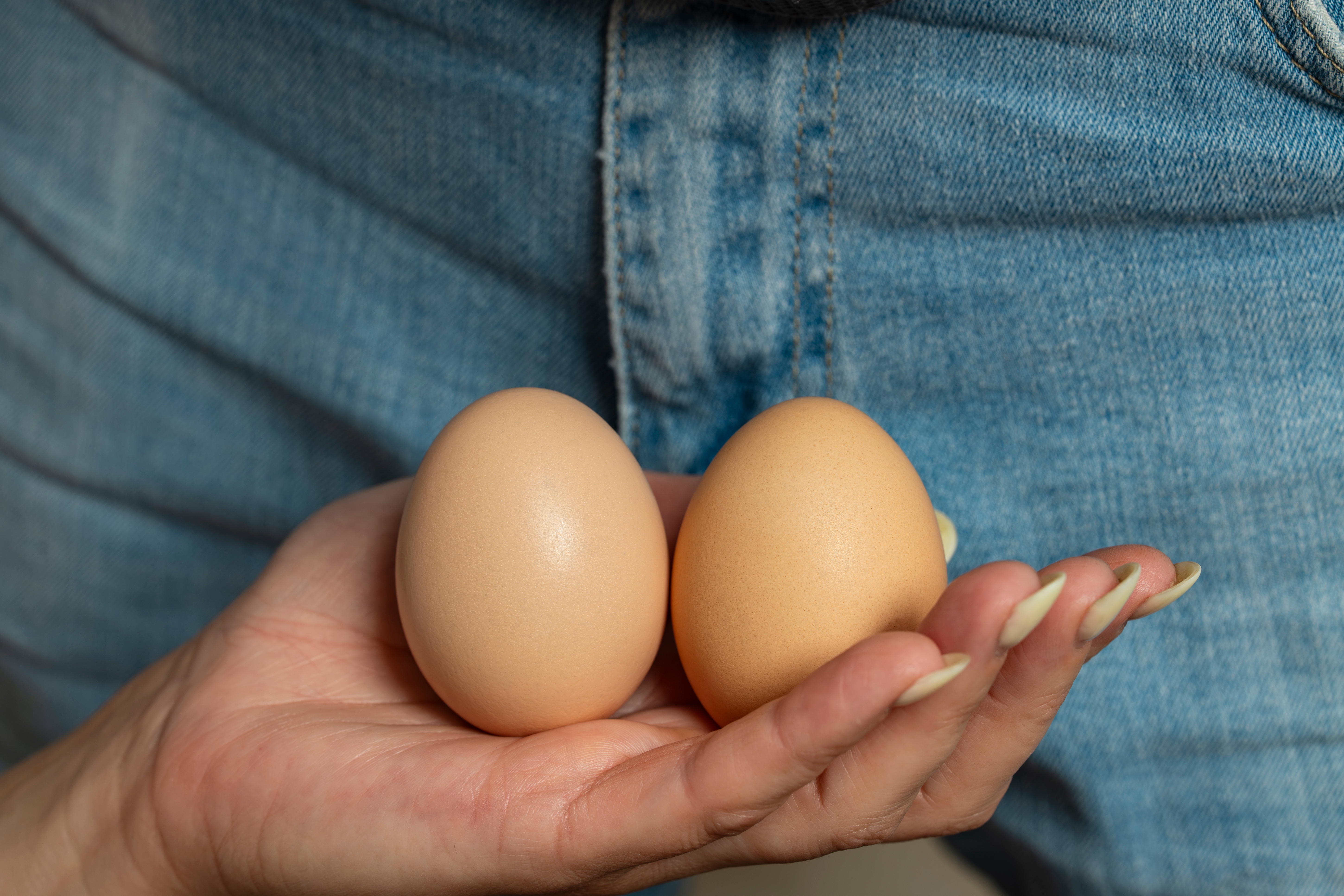 A idiosyncratic holding 2 eggs successful their hand, with denim jeans disposable successful the background