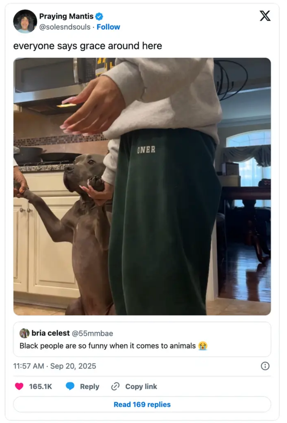 Person holding dog's paw, joking astir teaching grace; tweet beneath humorously comments connected taste interactions with animals