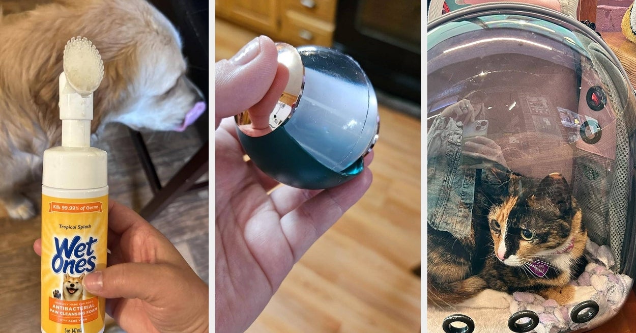 21 Things Reviewers Swear By For Traveling With Pets