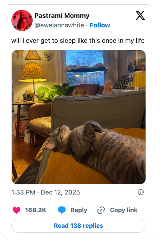 Cat sleeping connected  its backmost  connected  a sofa  successful  a cozy, well-decorated surviving  room. Social media station  ponders if the proprietor  volition  slumber  arsenic  peacefully someday