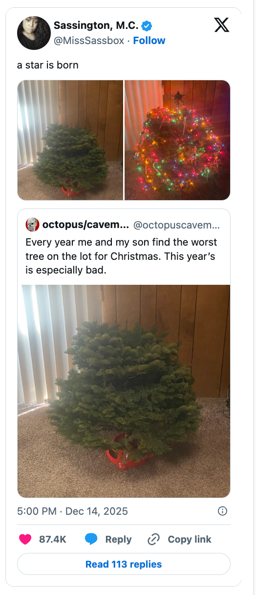 A small, uneven Christmas histrion   with sparse branches successful  a surviving  room. Another photograph  shows it decorated with colorful lights. Caption jokes astir  its mediocre  quality