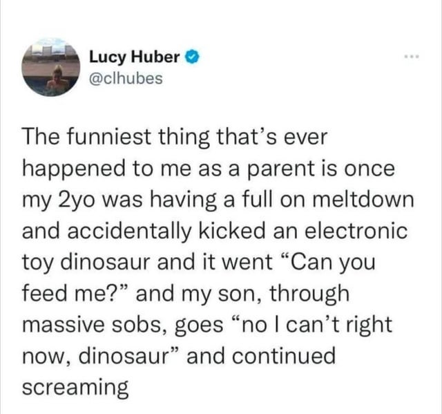 A parent recounts a humorous moment with their child, who, during a meltdown, kicks a toy dinosaur that asks to be fed, causing the child to cry more