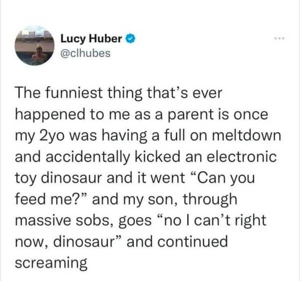 A parent recounts a humorous moment with their child, who, during a meltdown, kicks a toy dinosaur that asks to be fed, causing the child to cry more