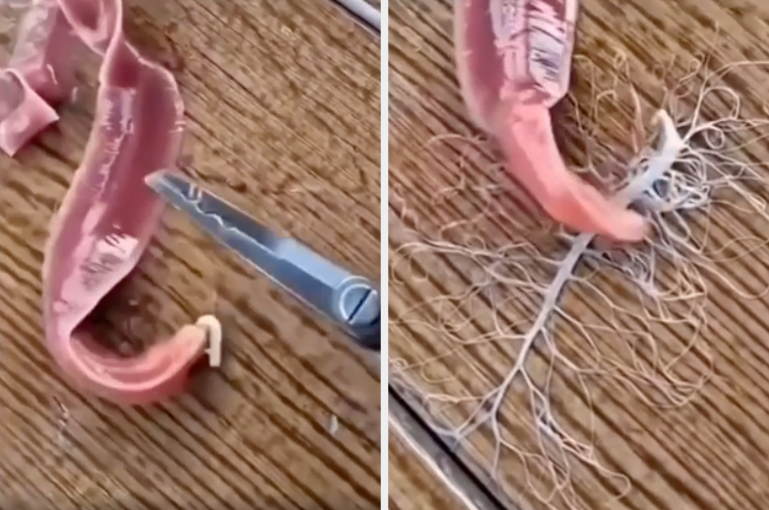 Et stykke rått kjøtt på en treoverflate er vist med noen tynne, grenlignende strukturer festet, og saks i nærheten i den første rammen