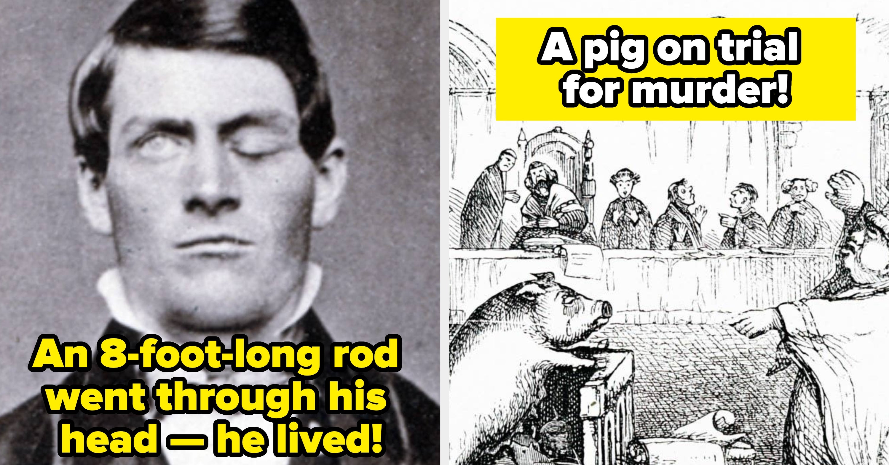 28 Mind-Blowing History Facts From 2025