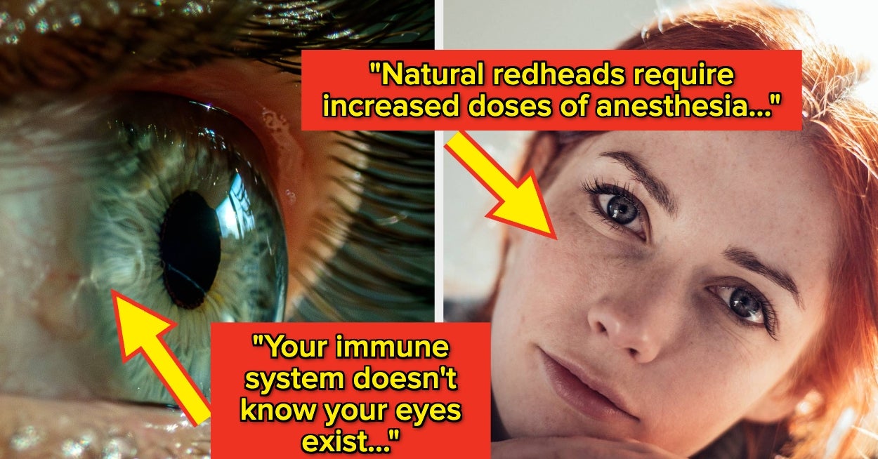 25 Extremely Interesting Facts About The Human Body And How It Works