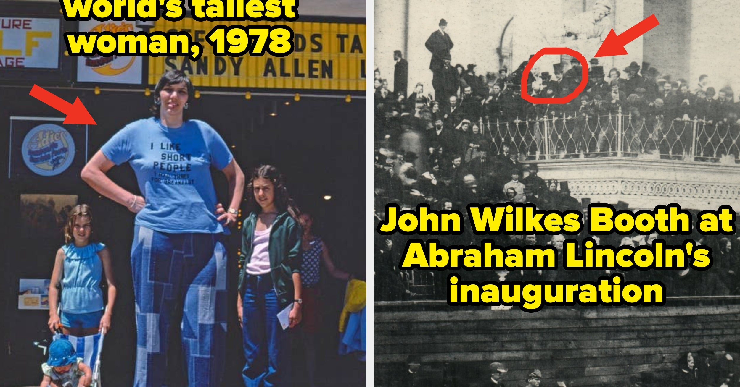 I'm Honestly Completely Speechless After Seeing These Absolutely Fascinating Pictures That Totally, Utterly, And Entirely Shattered My Brain Last Week