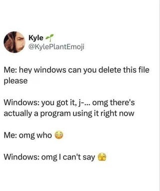 A humorous tweet exchange personifies Windows, with playful dialogue about being unable to delete a file in use