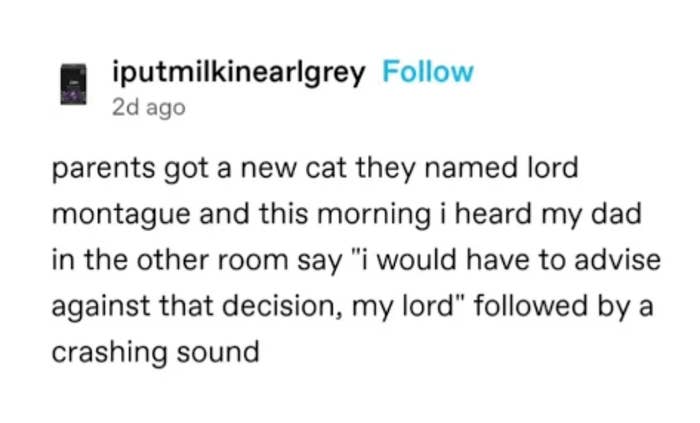 Social media post: A person shares a humorous story about their parents\&\#x27; new cat named Lord Montague and a funny incident with their dad